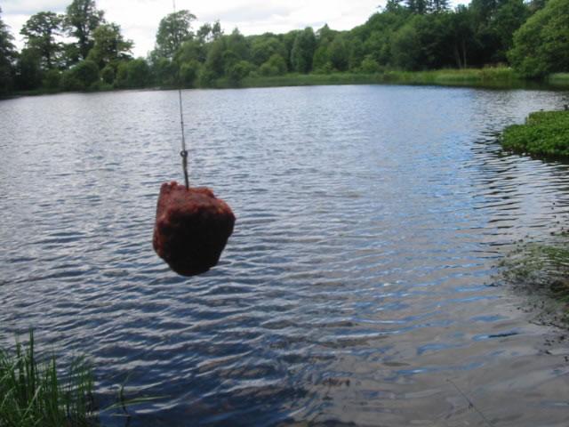 sbs tactical bait products - img3617.jpg